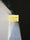 Image to render