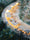 Image to render
