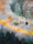 Image to render