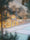 Image to render