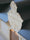 Image to render