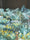 Image to render