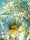 Image to render
