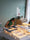 Image to render